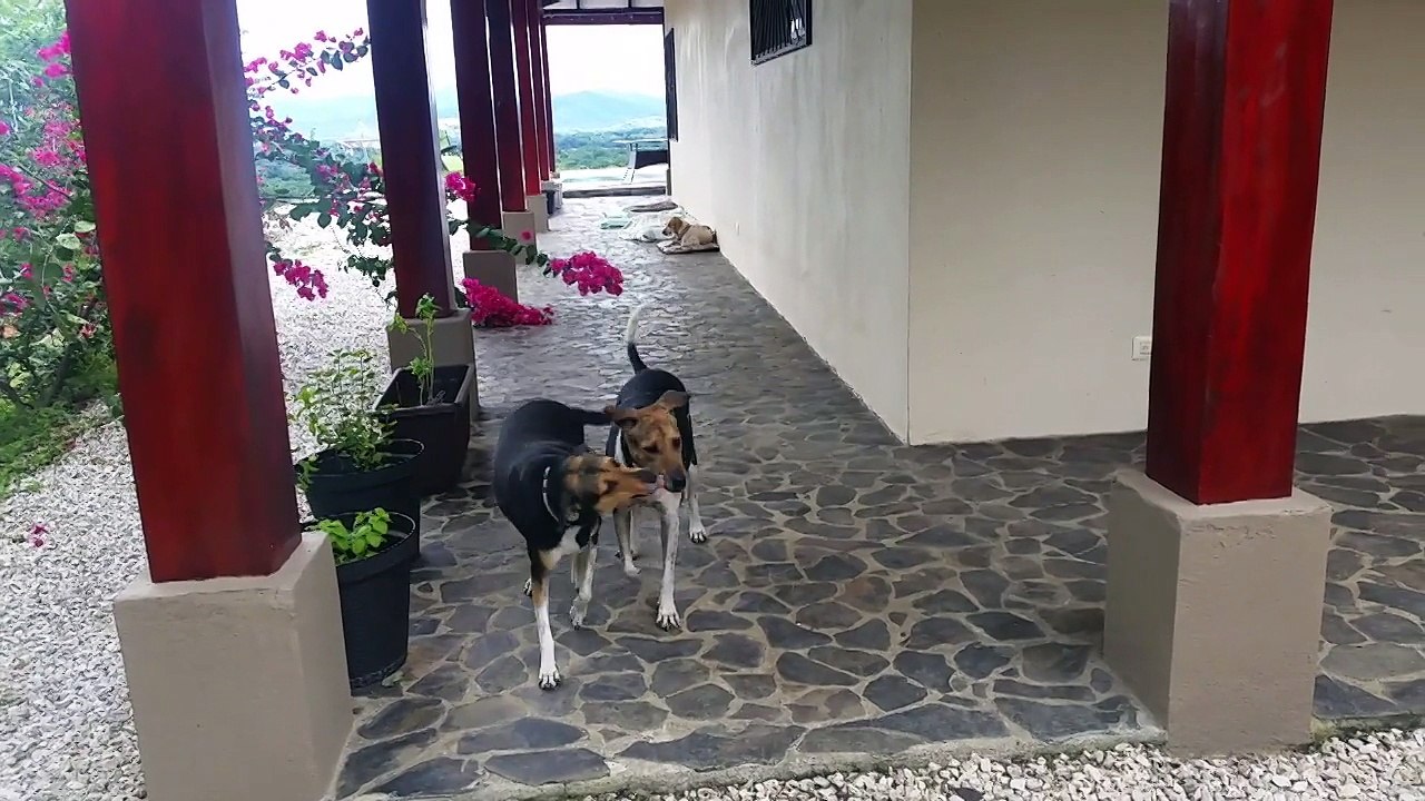 Cute family reunion, great to watch!