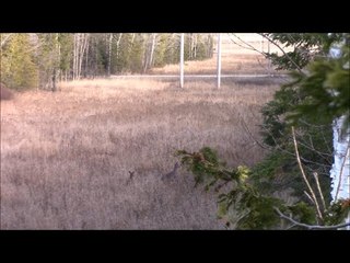 2017 Wisconsin Gun Deer Hunting Vlog - Day 5 and 6 (November 22 & Thanksgiving Morning)