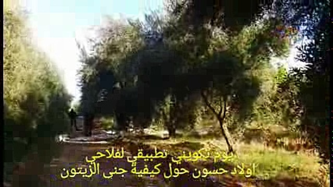 دورة تكوينية في كيفية جني الزيتون "بالفيبرور" باولاد حسون