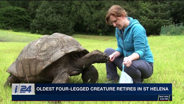 i24NEWS DESK | Syrian refugees learn classic Italian cooking | Sunday, November 26th 2017