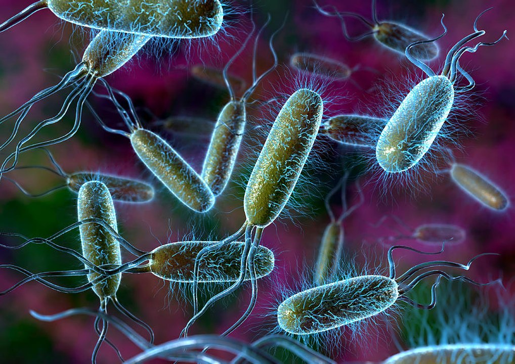 La grabadora de datos más pequeña del mundo es una bacteria