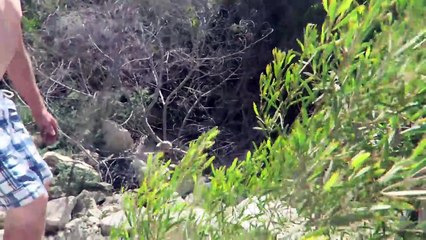 Bili su na plaži kad su čuli čudne zvuke iz žbunja: Kada su vidjeli jadnička, odmah su reagovali!