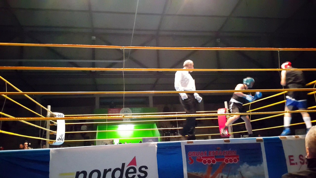 pro1