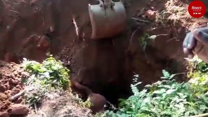 Yavruyu kurtardılar anne filden 'selam' aldılar