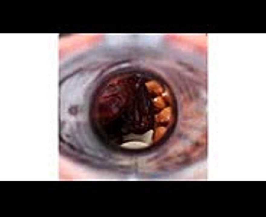 Dairy-Free Berries & Cream Tart