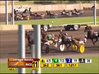 Harness Racing Year in Review 2017
