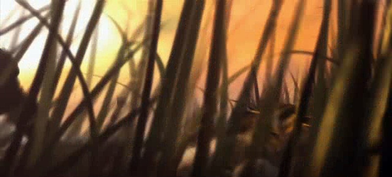 Warcraft III v