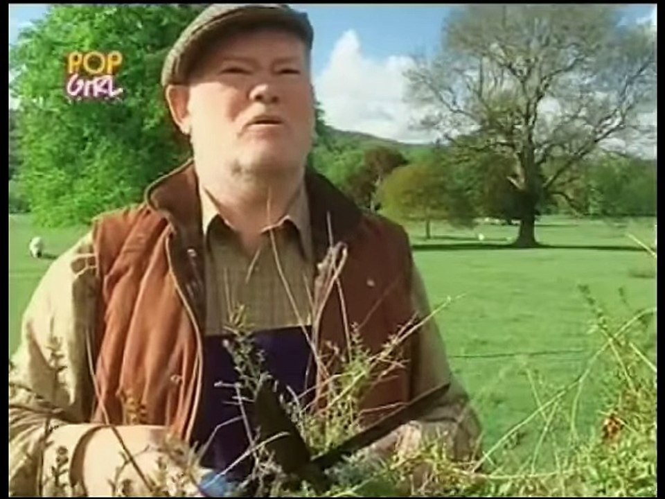 Foreign Exchange E5