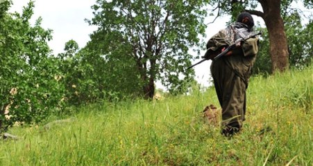 Karadeniz'e Alışamayan PKK'lı Teröristler, Dönmek İçin Kandil'den İzin İstiyor