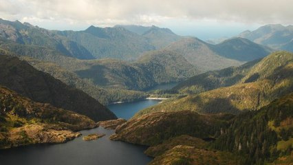 Why You Should Go to Haida Gwaii, the ‘Canadian Galápagos’