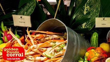 THIS GAME CHANGED MY LIFE!! Let's Play Adpocalypse with Combo Panda!-n1uW6GZwkXU