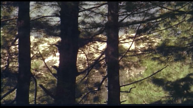 Dil Dhoondta Hai - Mausam Bhupinder Singh & Lata Mangeshkar Sanjeev Kumar & Sharmila Tagore