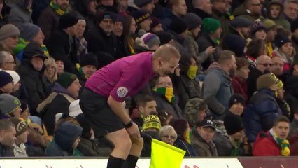 Norwich City fan David Spud Thornhill comes out of Carrow Road crowd to be fourt