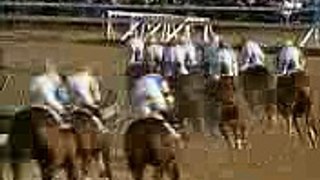 1991 Breeders' Cup Classic