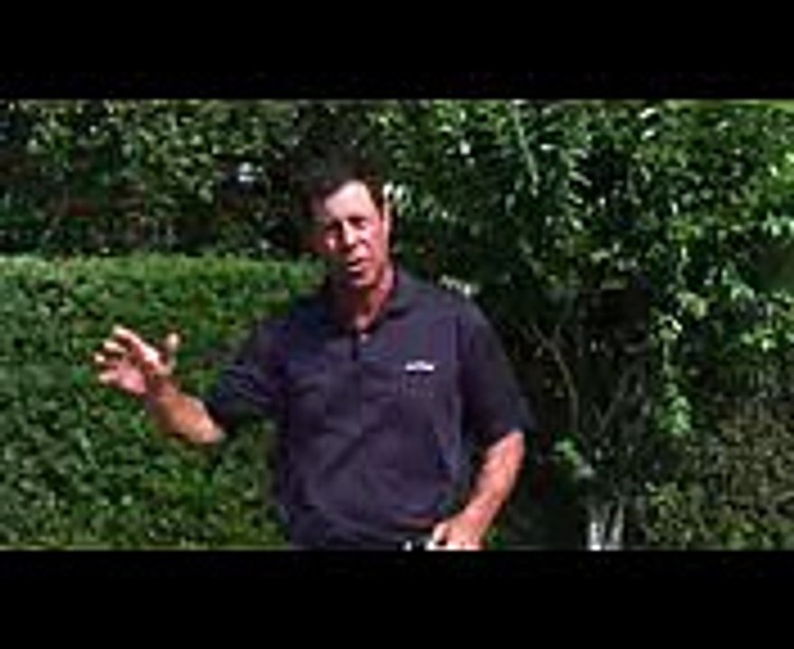 Golf Tips  Golf Tips for Better Iron Shots & Control
