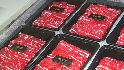 "이번 설 선물, 한우·꽃 10만 원까지 가능" / YTN