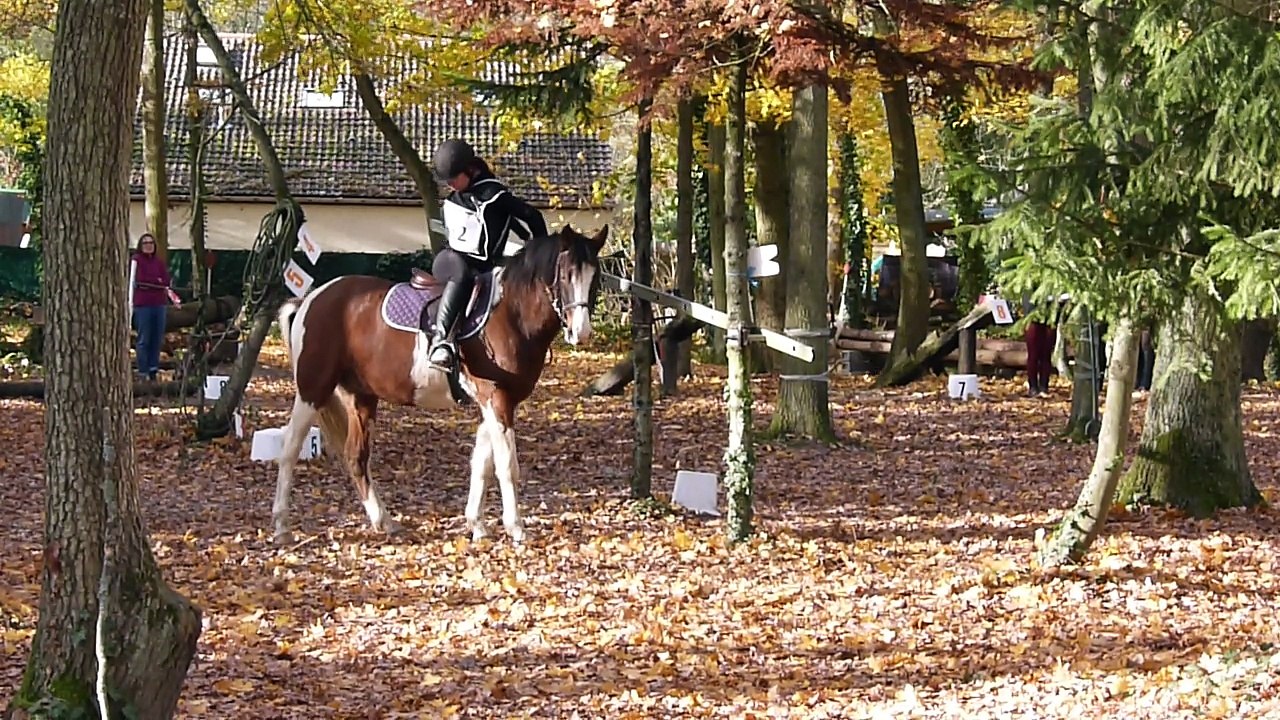 Marion / Cornélius Chalenge PTV 91 à Brétigny