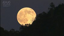 大津将史　秋の月はなぜか綺麗に映る　#大津将史