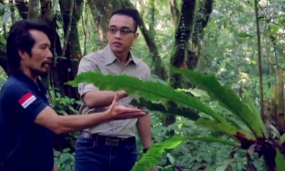 10 Tahun Bui, karena Cacing Ajaib - Aiman (Bag.1)