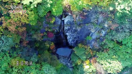 한국기행 - Korea travel_가을에 더 울주 1부 바람이 지휘하고, 억새가 노래하고_#002