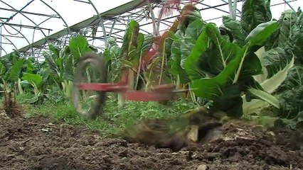 SOCIETE/ Changer de vie :du nucléaire à l'agriculture bio