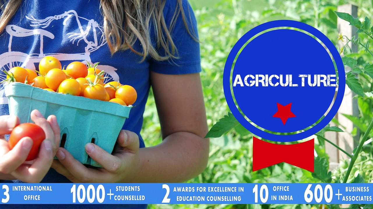 Certified Educational and Management Consultancy | Bright Educational Services