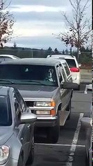 Un chien impatient dans un parking a la patte sur le klaxon