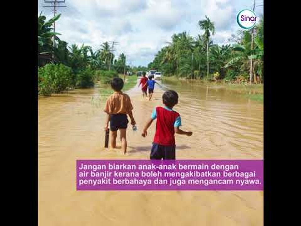 Panduan dan Langkah Menghadapi Banjir