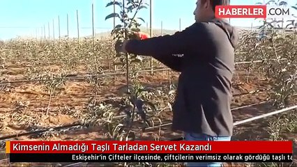 Kimsenin Almadığı Taşlı Tarladan Servet Kazandı