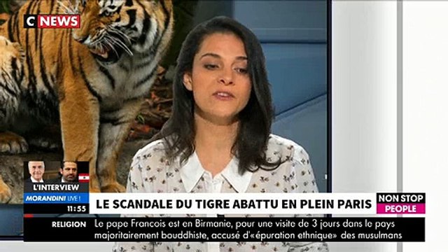 EXCLU - L'association de défense des animaux PETA demande à France 2 de cesser d'utiliser des tigres dans Fort Boyard