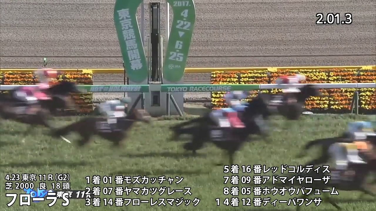2017年オークスの参考レース映像