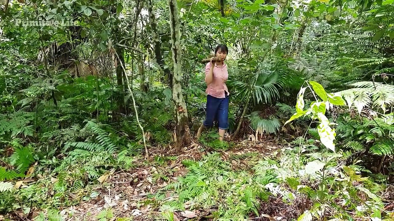 Primitive Technology_ Floor Hut