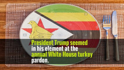 Net Neutrality, John Conyers, Zimbabwe: Your Tuesday Evening Briefing