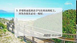 [活泼的生命]06.21.2017 蒙神拣选的记号 ─发芽的杖(民数记17:1~13)