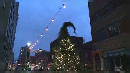 Le plus moche sapin de Noël du monde