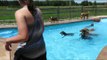 Group of Dogs Have Time of Their Lives in Swimming Pool