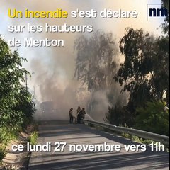 Un incendie se déclare sur les hauteurs de Menton