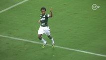 Relembre grandes momentos de Zé Roberto no Palmeiras