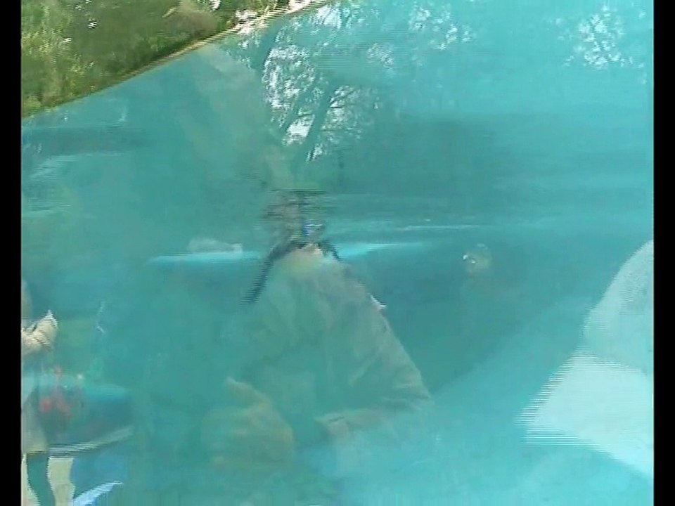 Zoo Beauval-Manchots (1)