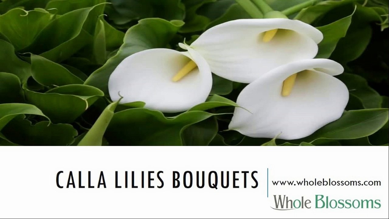 Calla Lilies Bouquets - www.wholeblossoms.com