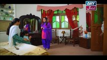 Mein Mehru Hoon Ep 05 - on ARY Zindagi in High Quality 27th November 2017
