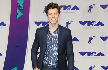 Shawn Mendes admits he shaves pubic hair