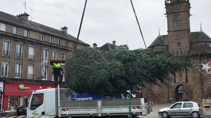 Vire. Le sapin 2017 est arrivé à la Porte Horloge