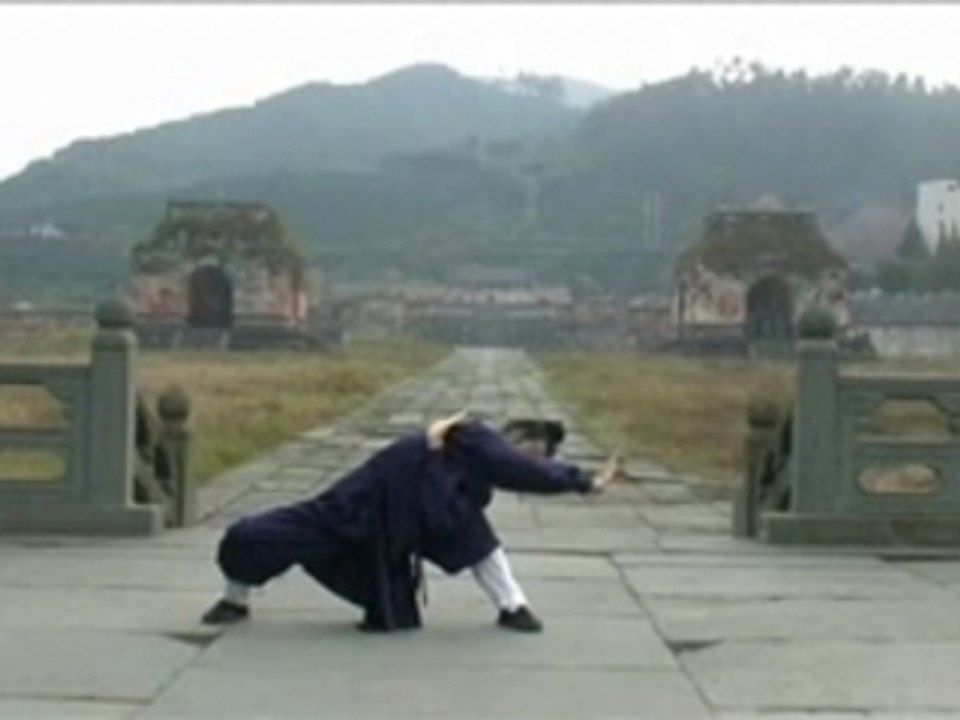 5 Animal QiGong  Sifu Yuan Xiu Gang Wudang
