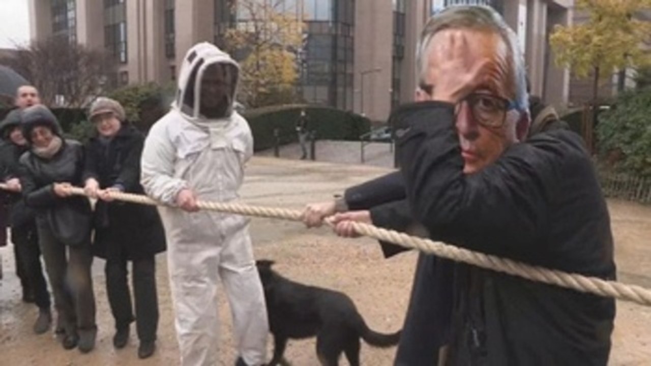 Activistas piden a Juncker que impida la renovación del glifosato en la UE