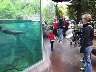 Bila je to obična igra dječaka u Zoo vrtu, ali niko nije očekivao da će se ovo desiti!