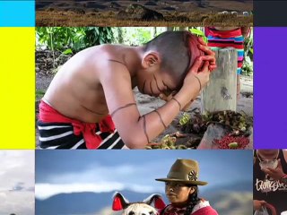 La naturaleza y las plantas medicinales son el patrimonio más importante para los cofanes