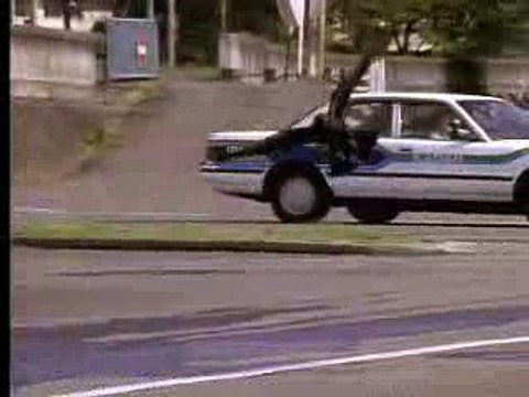 دیکھیں جاپان کے کوّے کس طرح اپنے کھانے کا انتظام کرتے ہیں How Crows Find-outTheir Food