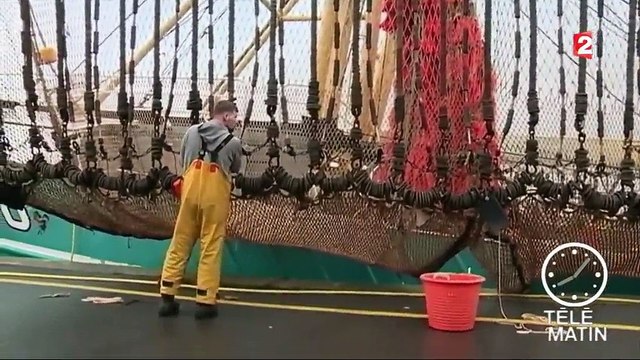 Environnement : les pêcheurs français dénoncent la pêche électrique