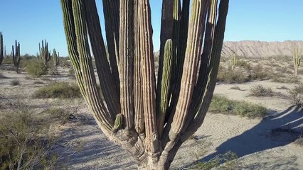 I deleted the footage!